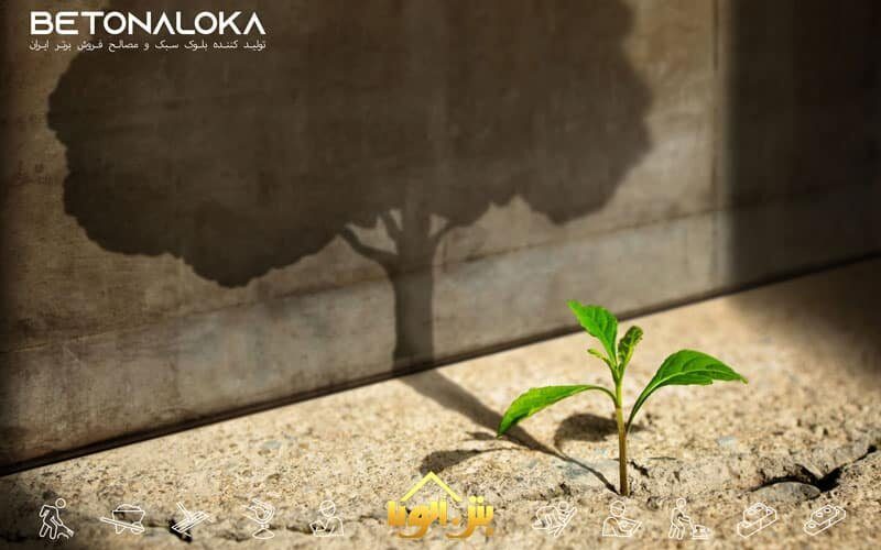 بتن خود ترمیم شونده